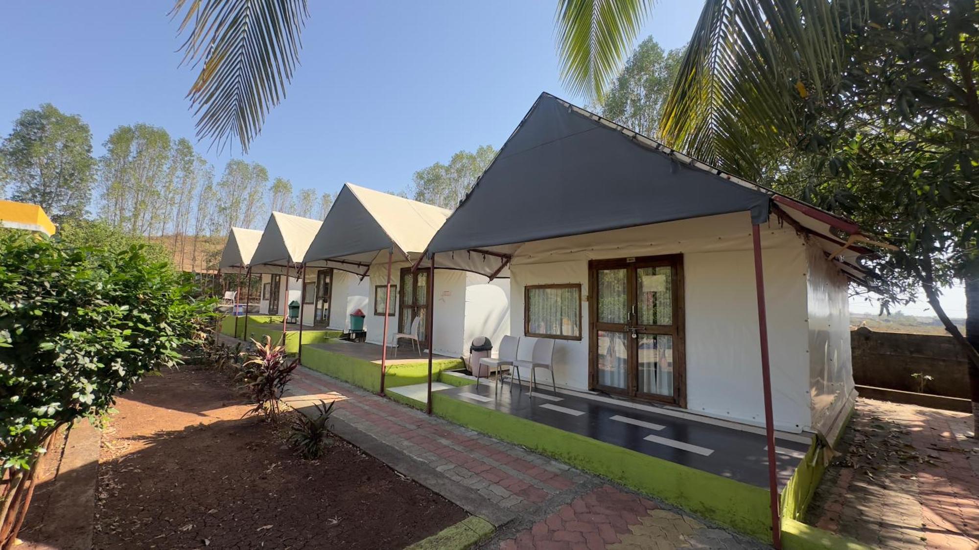 Lion Park Hotel & Resorts Sasan Gir Zewnętrze zdjęcie